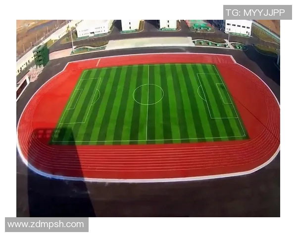 足球场草皮的养护与管理技巧提升比赛质量的关键因素