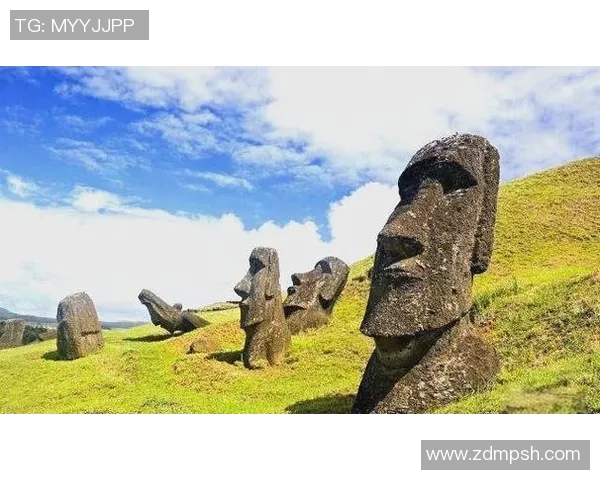 探索全球足球种类的多样性与魅力从传统到现代的演变与发展