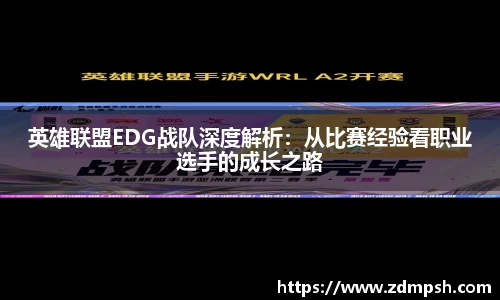 XK星空官网