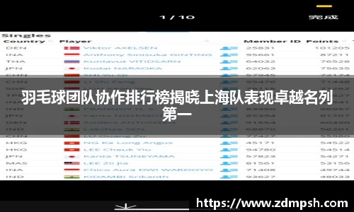 羽毛球团队协作排行榜揭晓上海队表现卓越名列第一