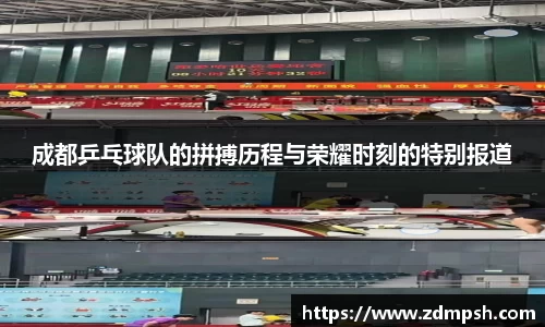 成都乒乓球队的拼搏历程与荣耀时刻的特别报道