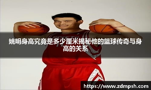 姚明身高究竟是多少厘米揭秘他的篮球传奇与身高的关系