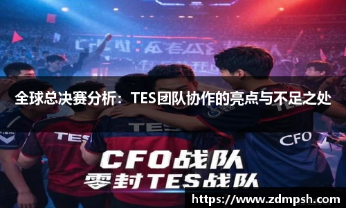 全球总决赛分析：TES团队协作的亮点与不足之处