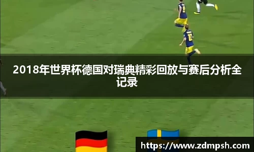 2018年世界杯德国对瑞典精彩回放与赛后分析全记录