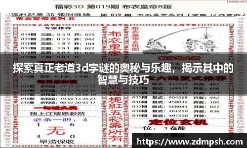 探索真正老道3d字谜的奥秘与乐趣，揭示其中的智慧与技巧